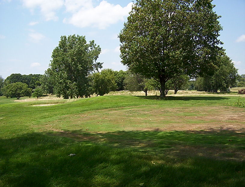 000_1782.JPG